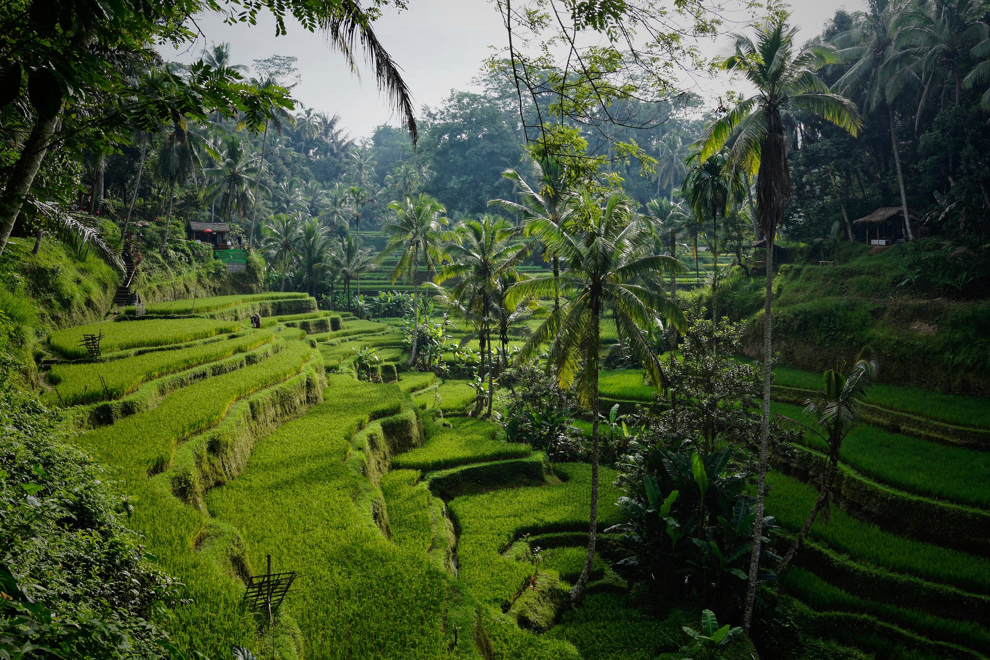 Balinese temple with mountains in background